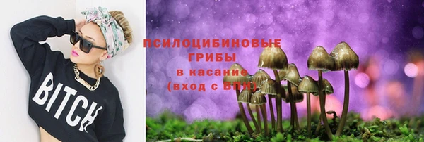 марки lsd Богданович