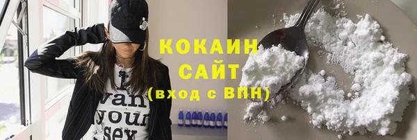 прущие крисы Белокуриха