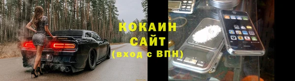 прущие крисы Белокуриха