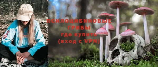 гашик Богородицк