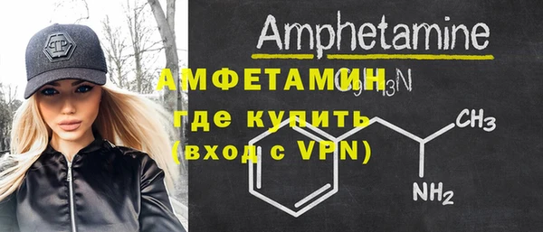 мдпв Богородск