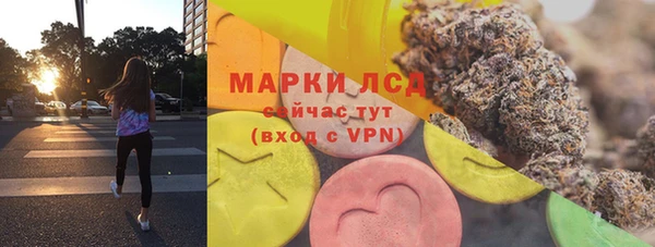 мдпв Богородск