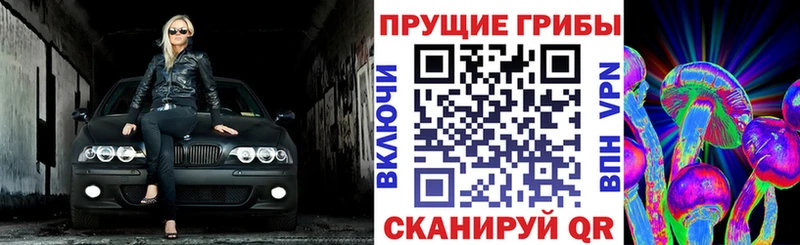 Псилоцибиновые грибы MAGIC MUSHROOMS  ссылка на мегу   Болгар 
